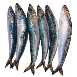 3 හුරුල්ලා / Herring / 청어 1kg