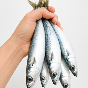 3 ලින්නෝ / Linna Fish / 고등어 생선 1kg