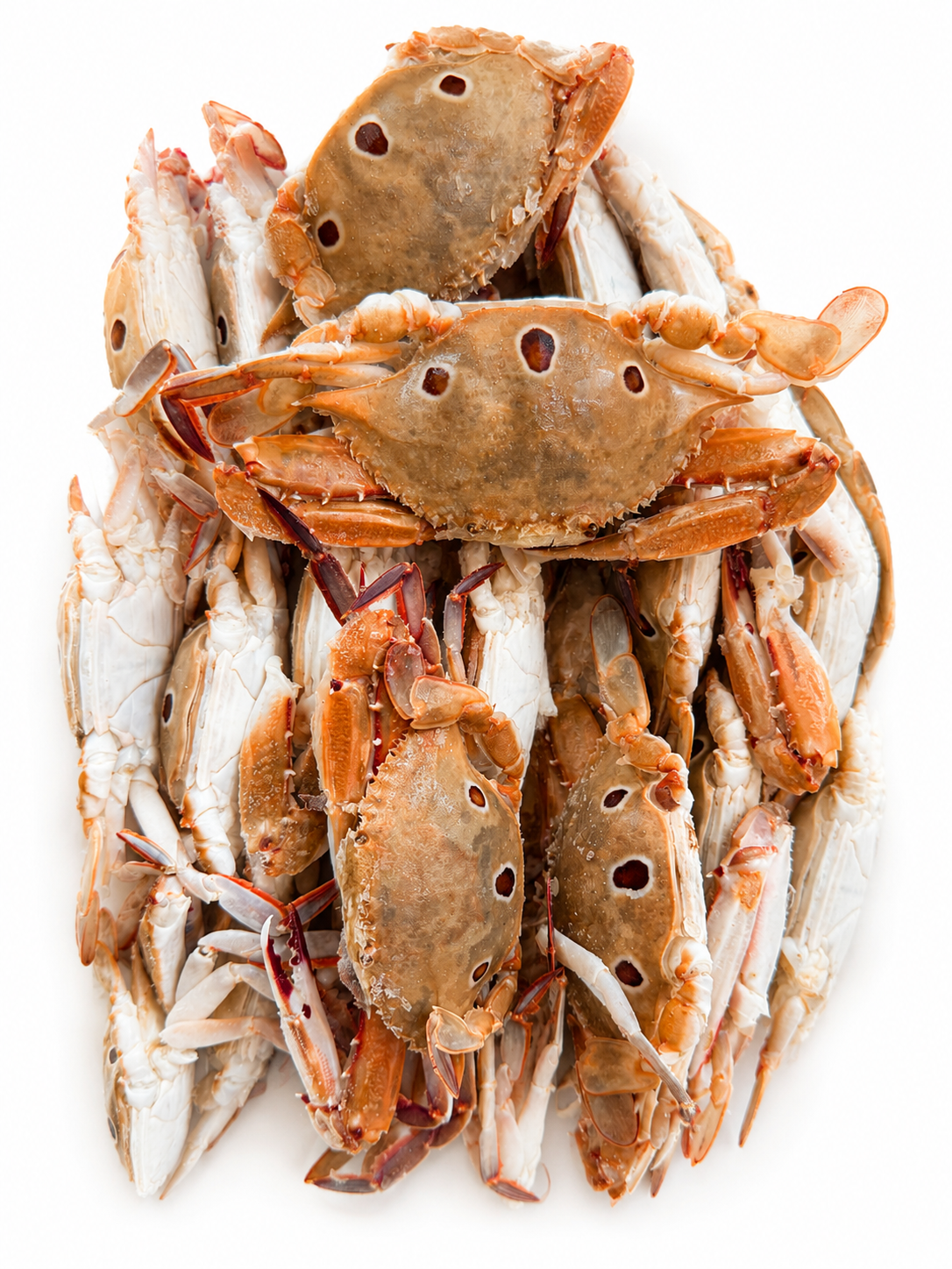 3 කකුළුවා crab 500g - Image 2