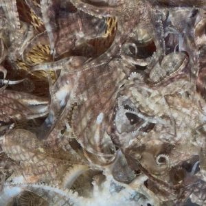 0.    පොඩි බූවල්ලෝ 500g